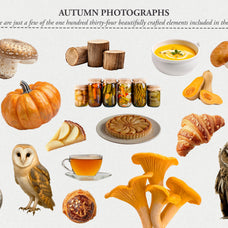 The Autumn Collage Creator (330+ Elements) - Digi Life 3.jpg