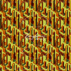 The Bauhaus Architect - Nomad Visuals 11.jpg