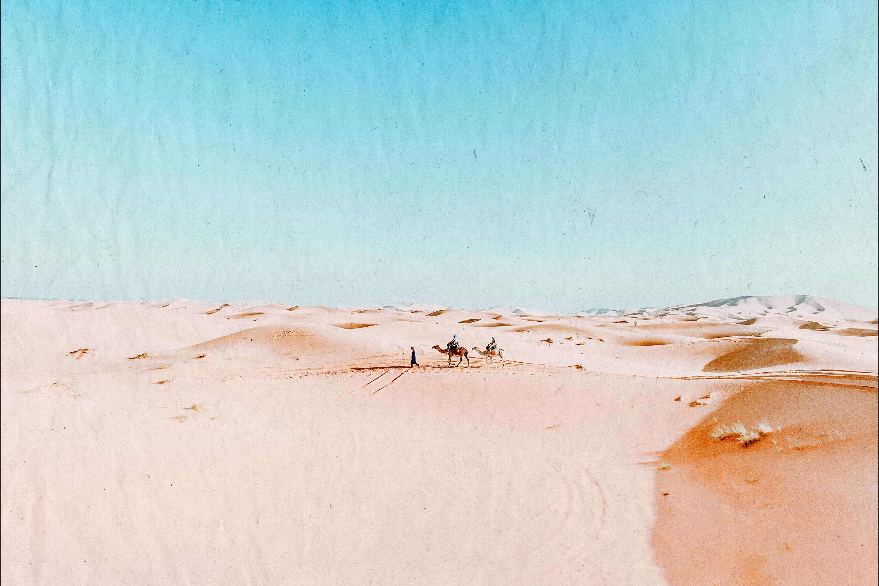 The White Papers Collection - Pixelbuddha 10.jpg