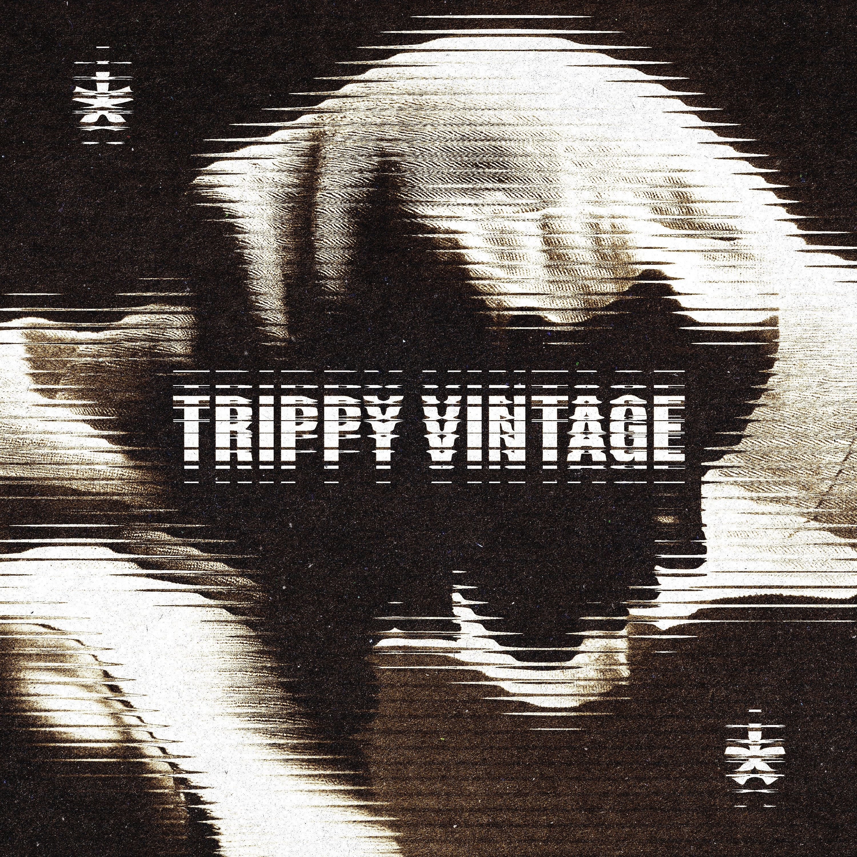 Trippy Vintage Photo Effect - Pixelbuddha 1.jpg