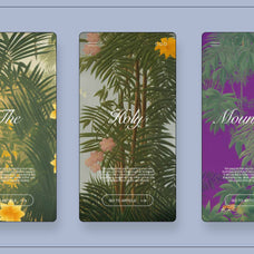 Tropical Dream - Nomad Visuals 14.jpg