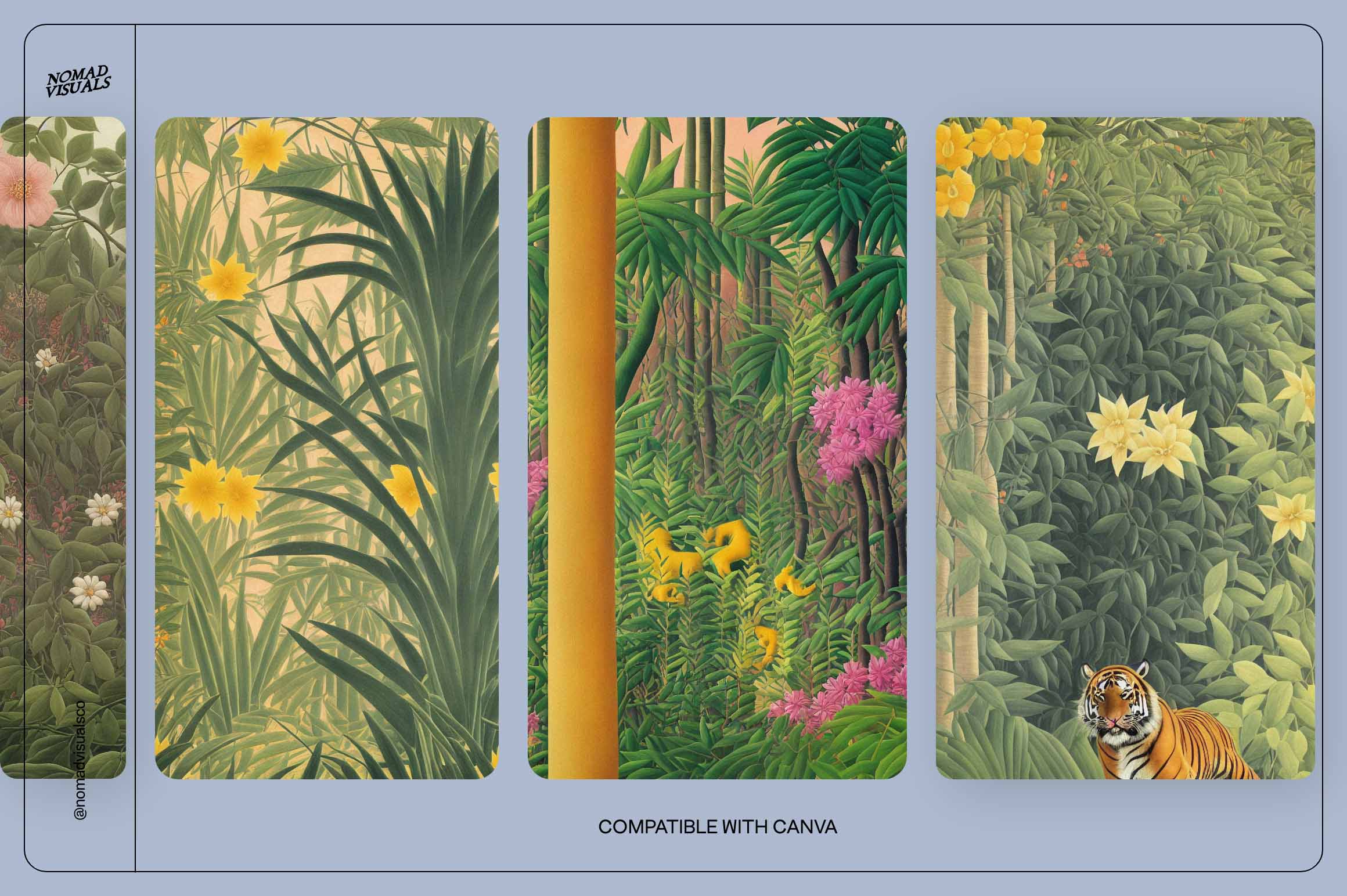 Tropical Dream - Nomad Visuals 18.jpg