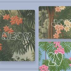 Tropical Dream - Nomad Visuals 2.jpg