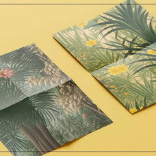 Tropical Dream - Nomad Visuals 3.jpg