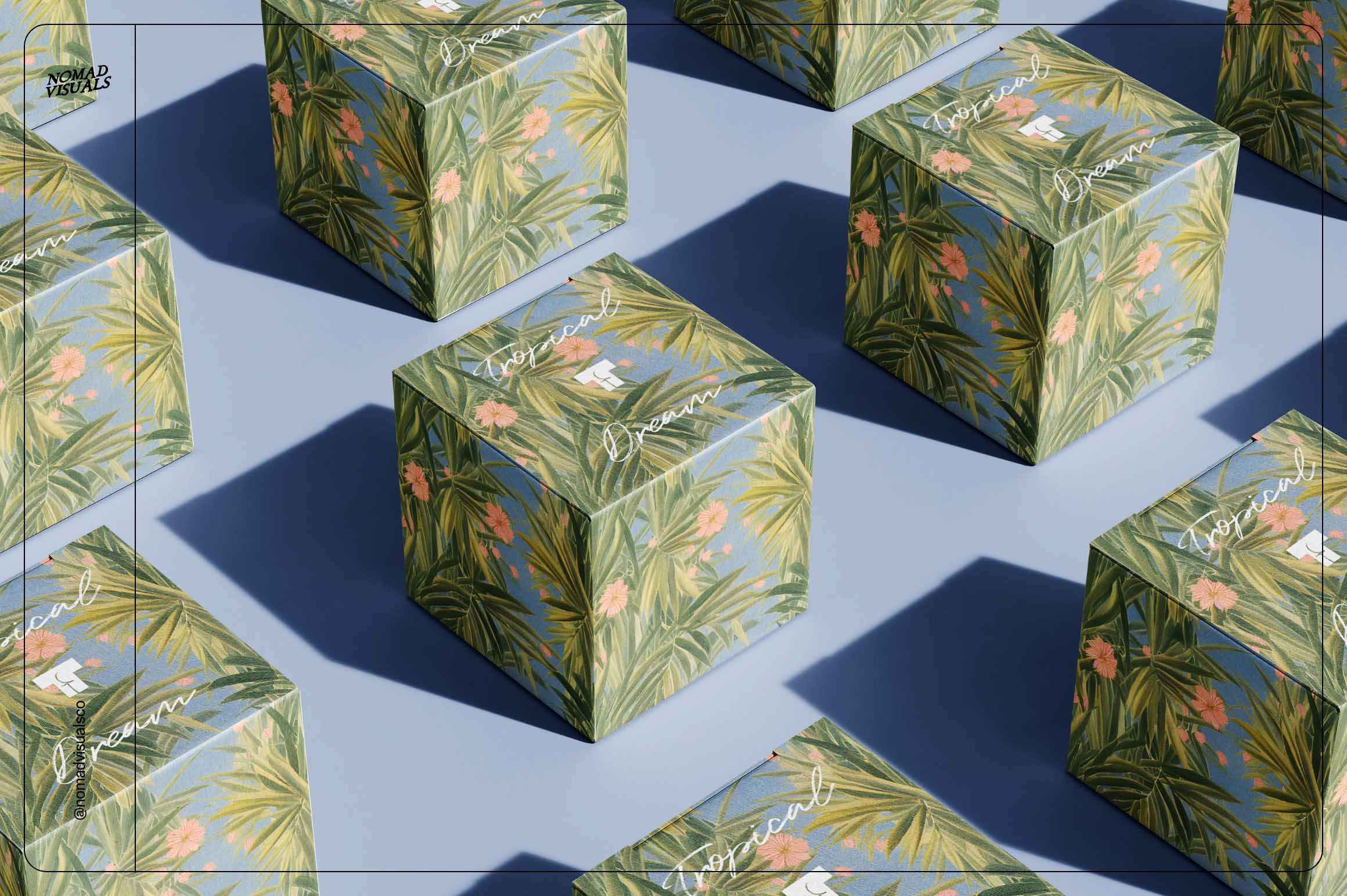 Tropical Dream - Nomad Visuals 4.jpg