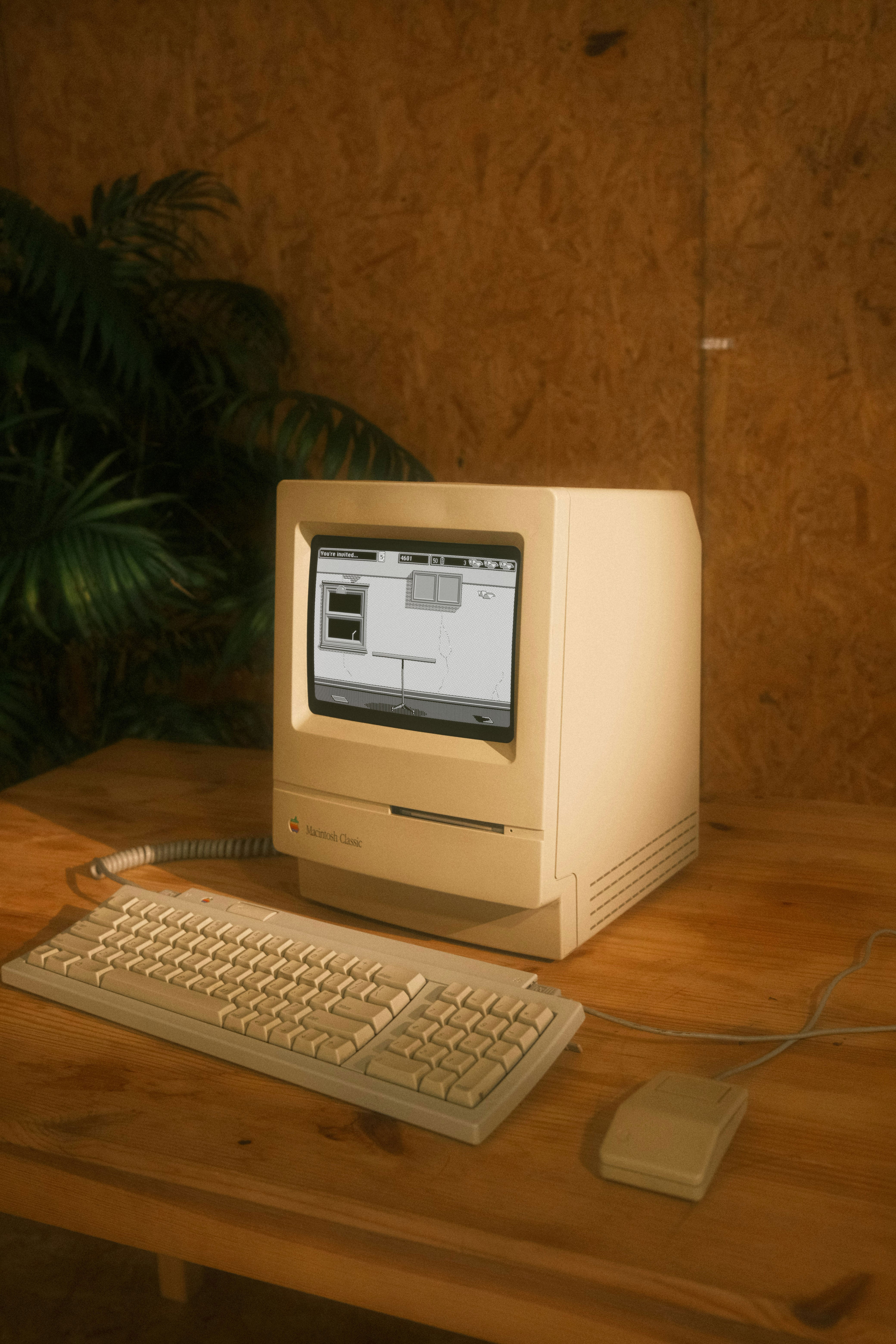 Untitled Product - Delamford Supply 2.jpg