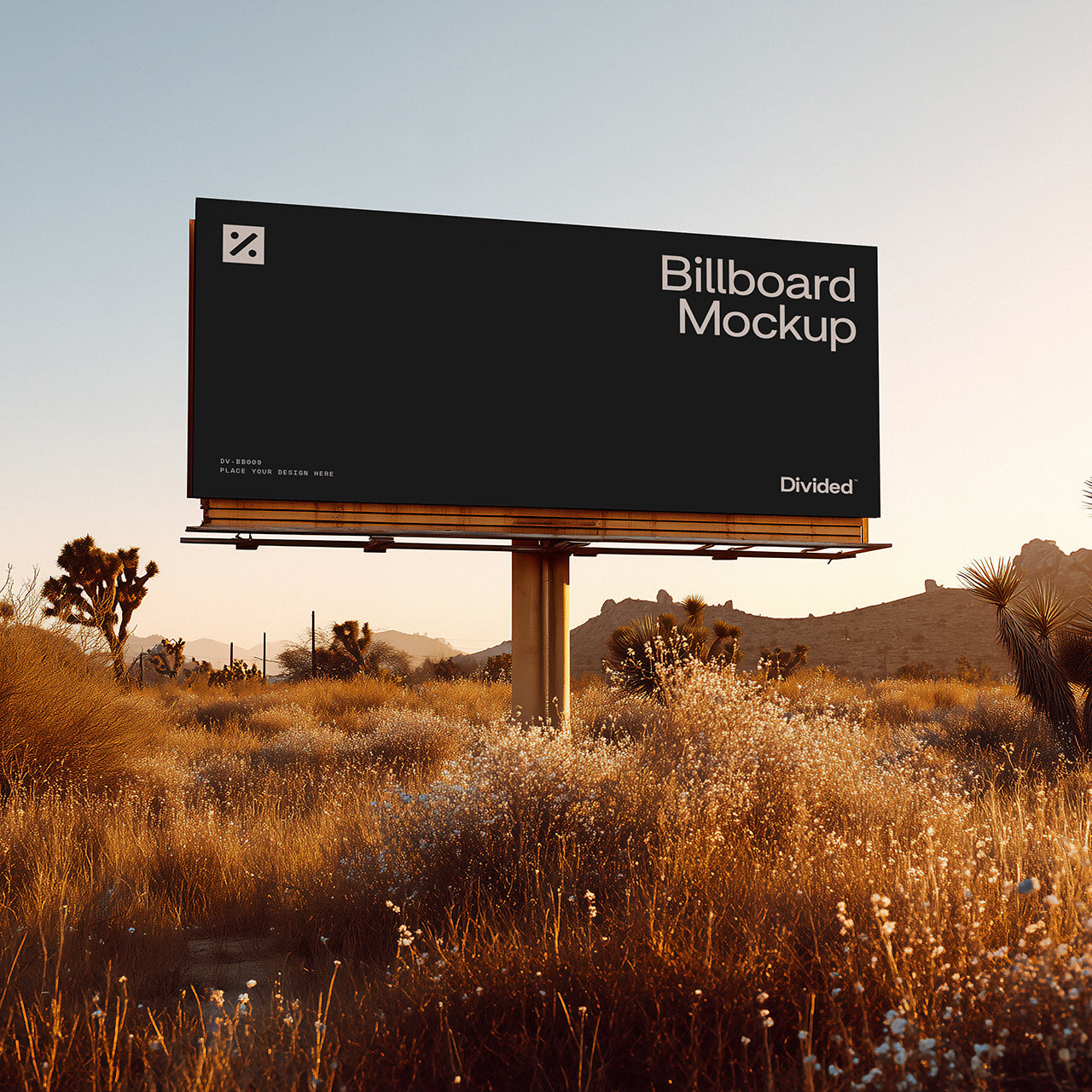 Untitled Product - Divided.co 1.jpg