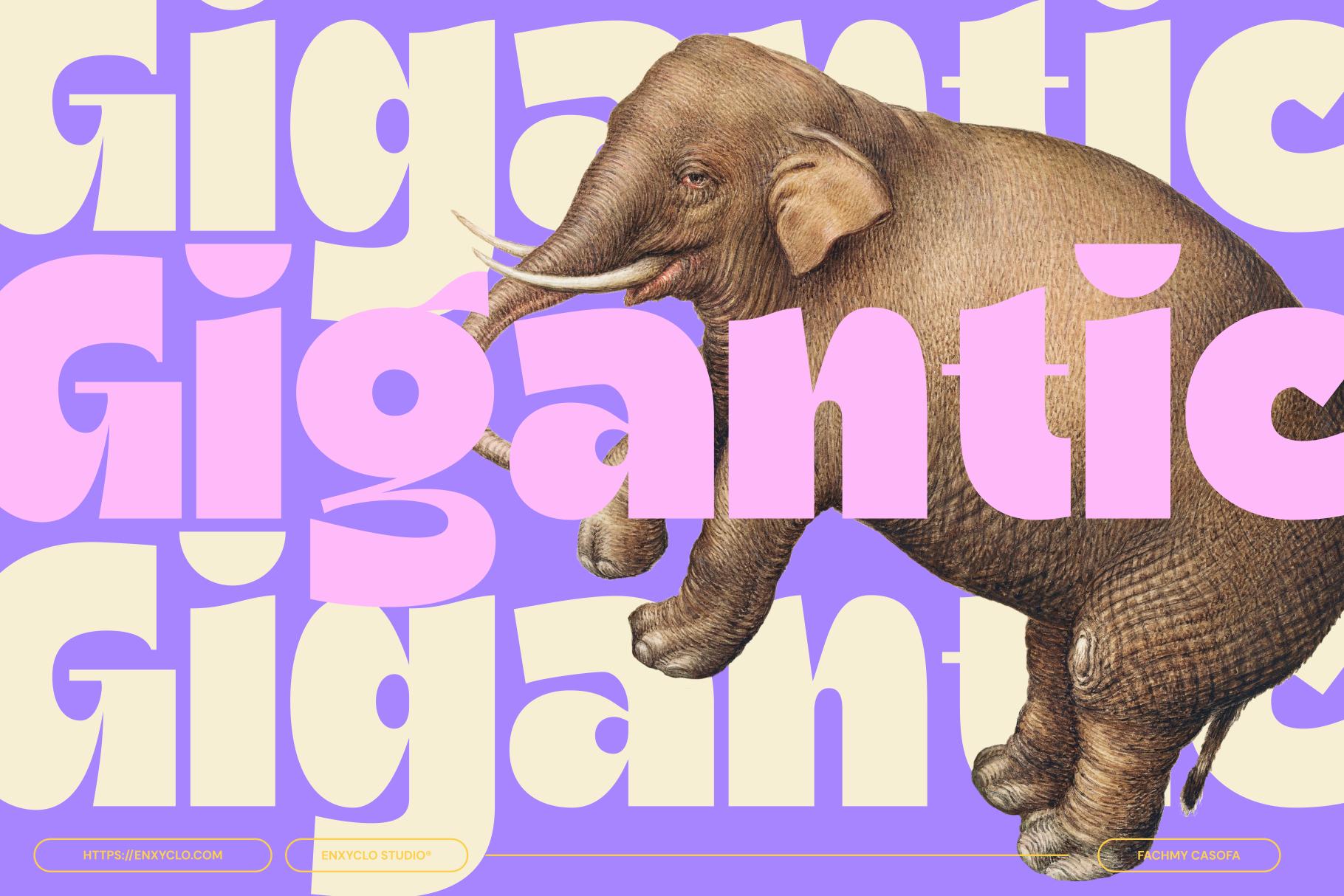 Untitled Product - Enxyclo Studio 1.png