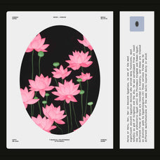 Untitled Product - Nomad Visuals 15.jpg