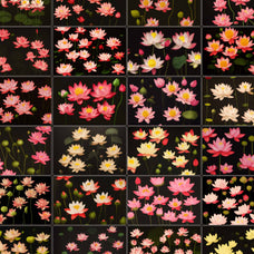 Untitled Product - Nomad Visuals 16.jpg