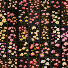 Untitled Product - Nomad Visuals 17.jpg