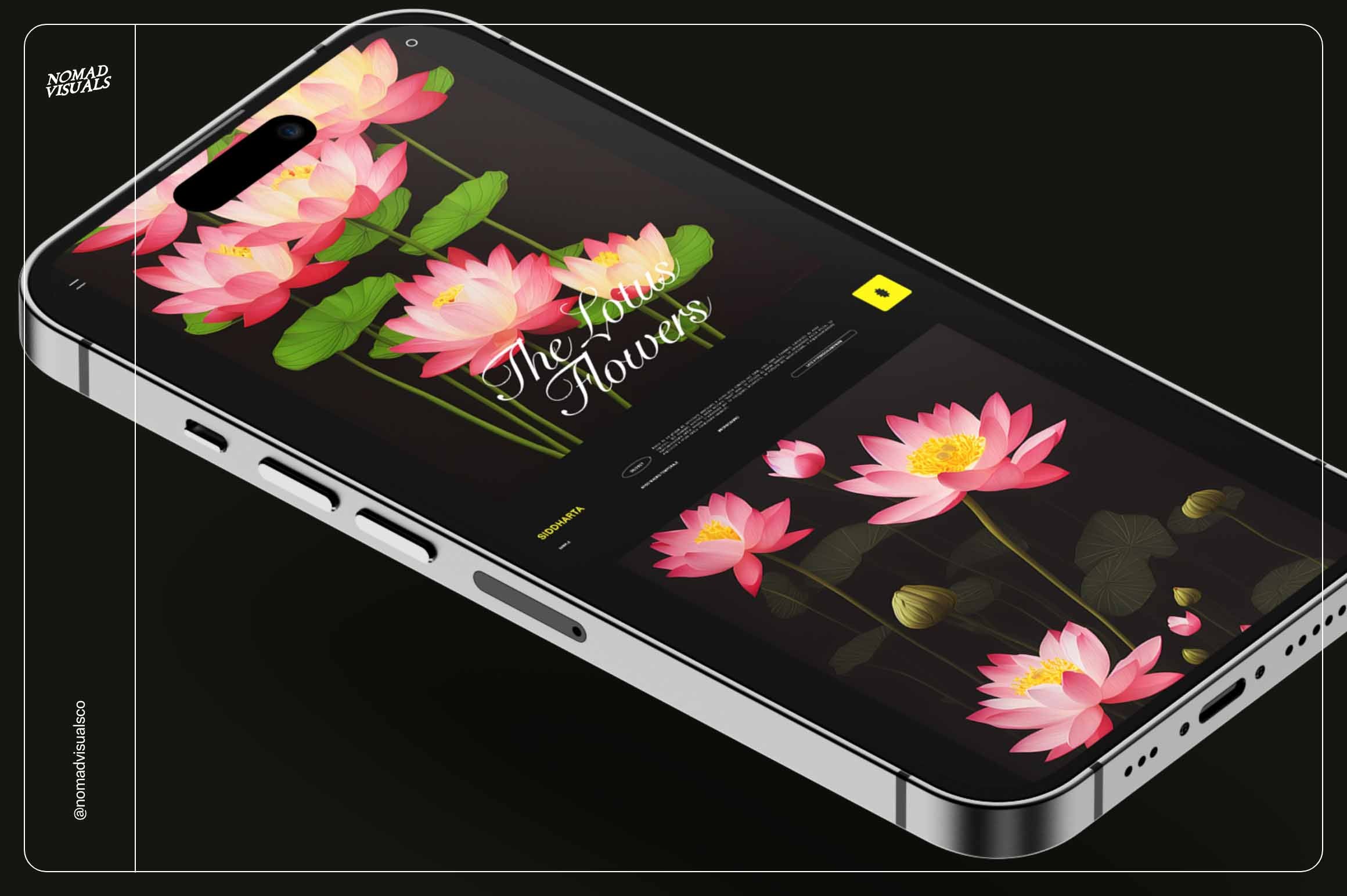 Untitled Product - Nomad Visuals 18.jpg