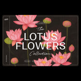 Lotus Flowers
