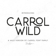 Untitled Product - Sarid Ezra 1.jpg