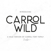 Carrol Wild - Modern Sans
