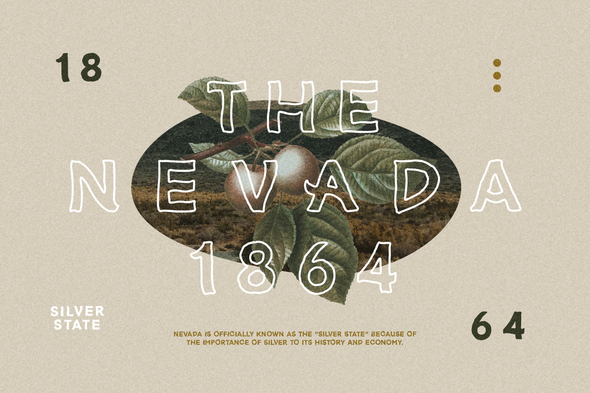 Untitled Product - Sarid Ezra 2.jpg