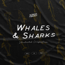 Whales & Sharks - Nomad Visuals 1.jpg
