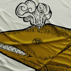 Whales & Sharks - Nomad Visuals 2.jpg