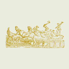 Whales & Sharks - Nomad Visuals 5.jpg