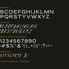 Wicked Culture - 2 IN 1 FONT - Sarid Ezra 8.jpg