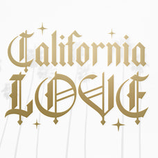 Wild Star Font Duo - Set Sail Studios 1.jpg
