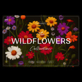 Wildflowers