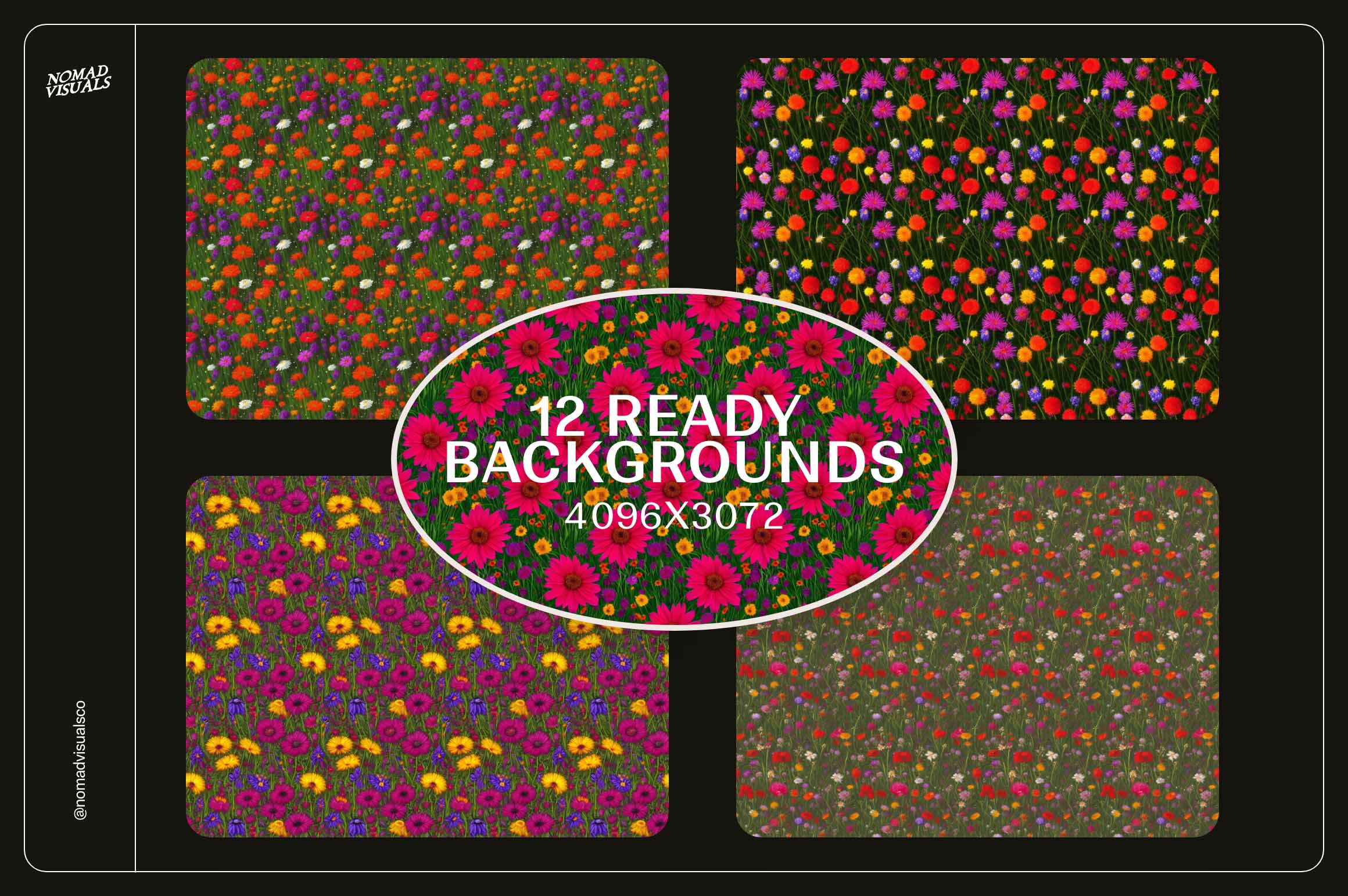 Wildflowers - Nomad Visuals 10.jpg