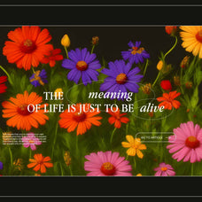 Wildflowers - Nomad Visuals 3.jpg