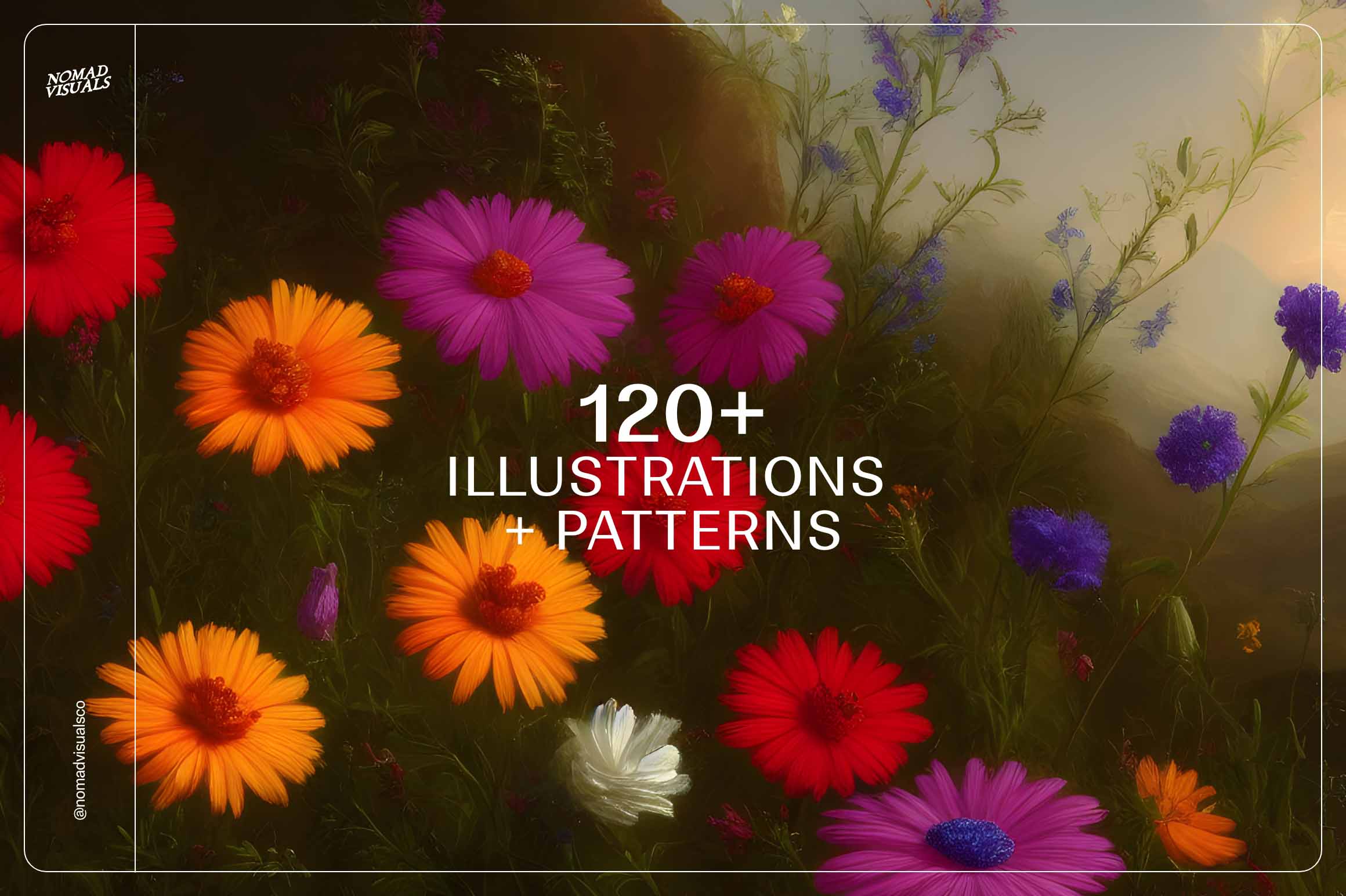 Wildflowers - Nomad Visuals 8.jpg