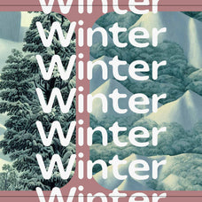 Winter Dream - Nomad Visuals 17.jpg