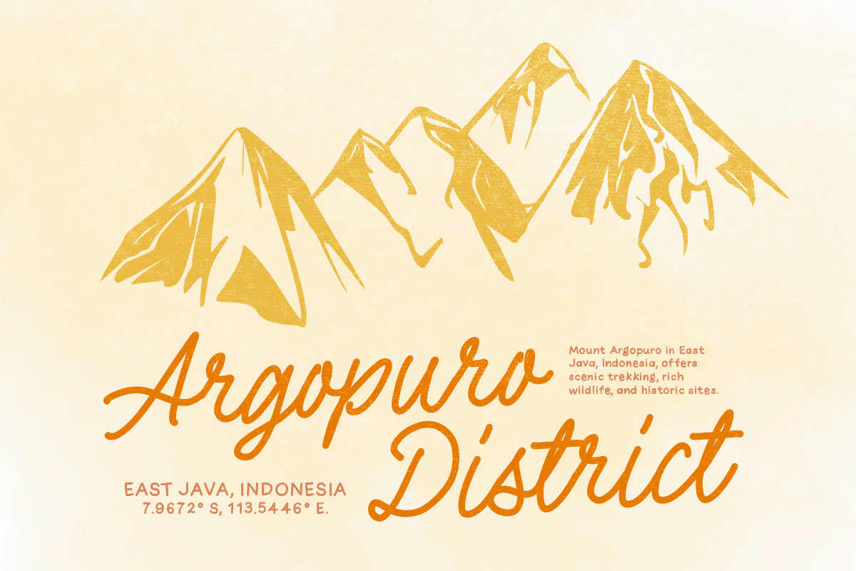 Wonder Nature - Monoline Font Duo - Sarid Ezra 6.jpg