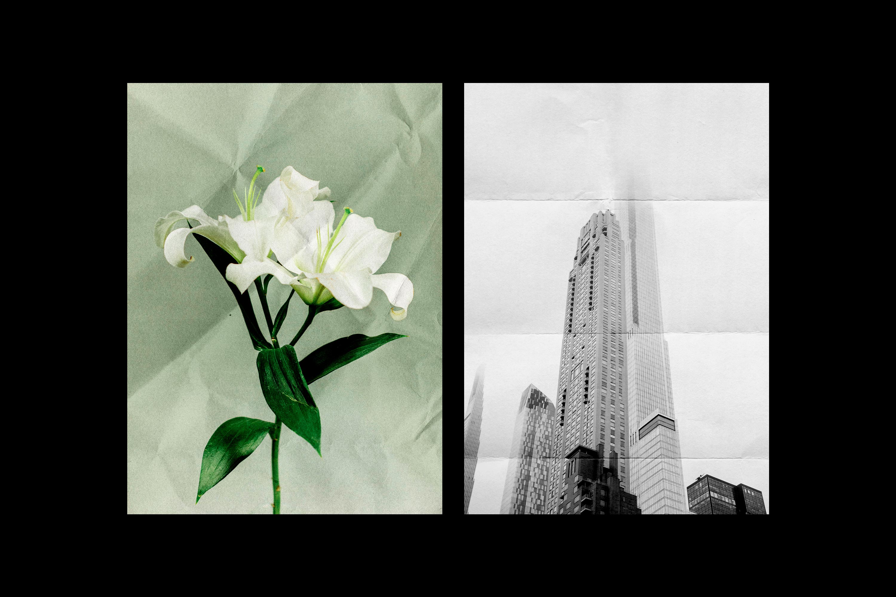 Wrinkled & Folded Papers Collection - Pixelbuddha 2.jpg