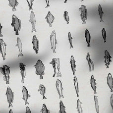 A Renaissance Field Guide to Fish - Vol. 1
