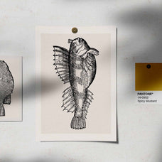 A Renaissance Field Guide to Fish - Vol. 1