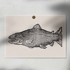 A Renaissance Field Guide to Fish - Vol.03