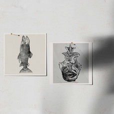 A Renaissance Field Guide to Fish - Vol.03