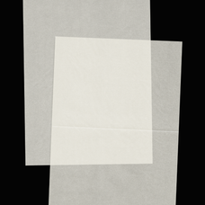a4-vellum-paper-mockup-paper-archives-collection-25-glowhub-creative-co-3.png