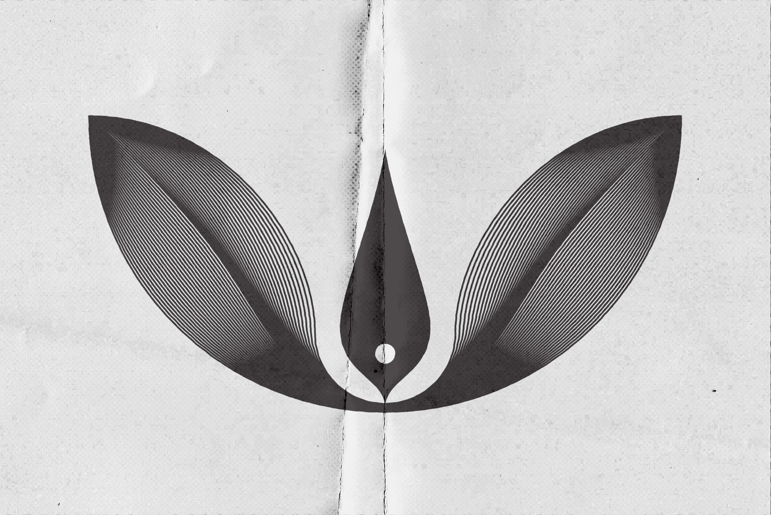 Abstract Boho Linear Vector Shapes