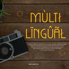 acelina-monoline-sans-serif-craft-supply-co-6.jpg