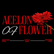 acelon-condensed-serif-craft-supply-co-1.jpg