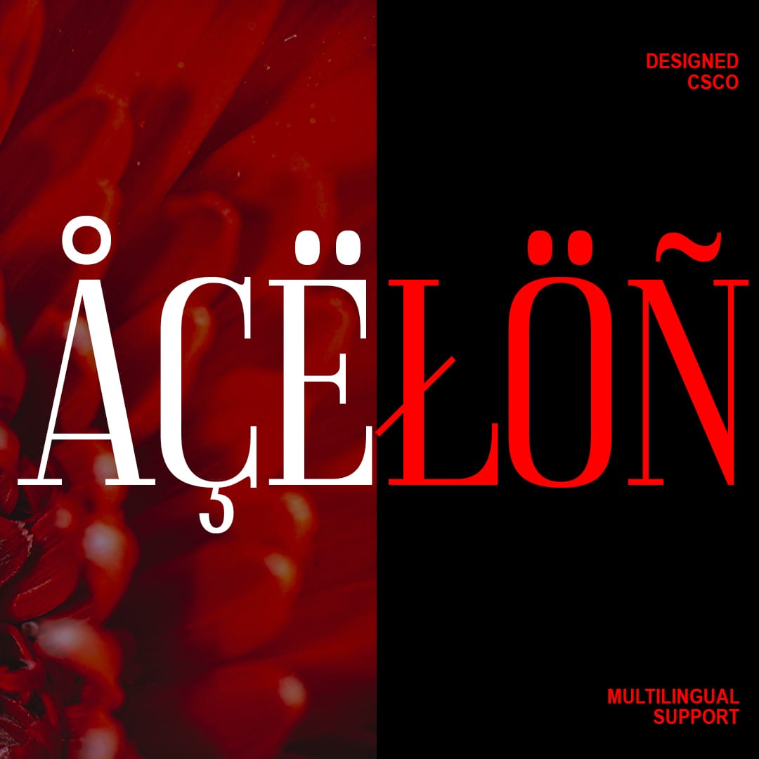 acelon-condensed-serif-craft-supply-co-7.jpg