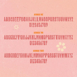 ACIDWASH Font - image 2