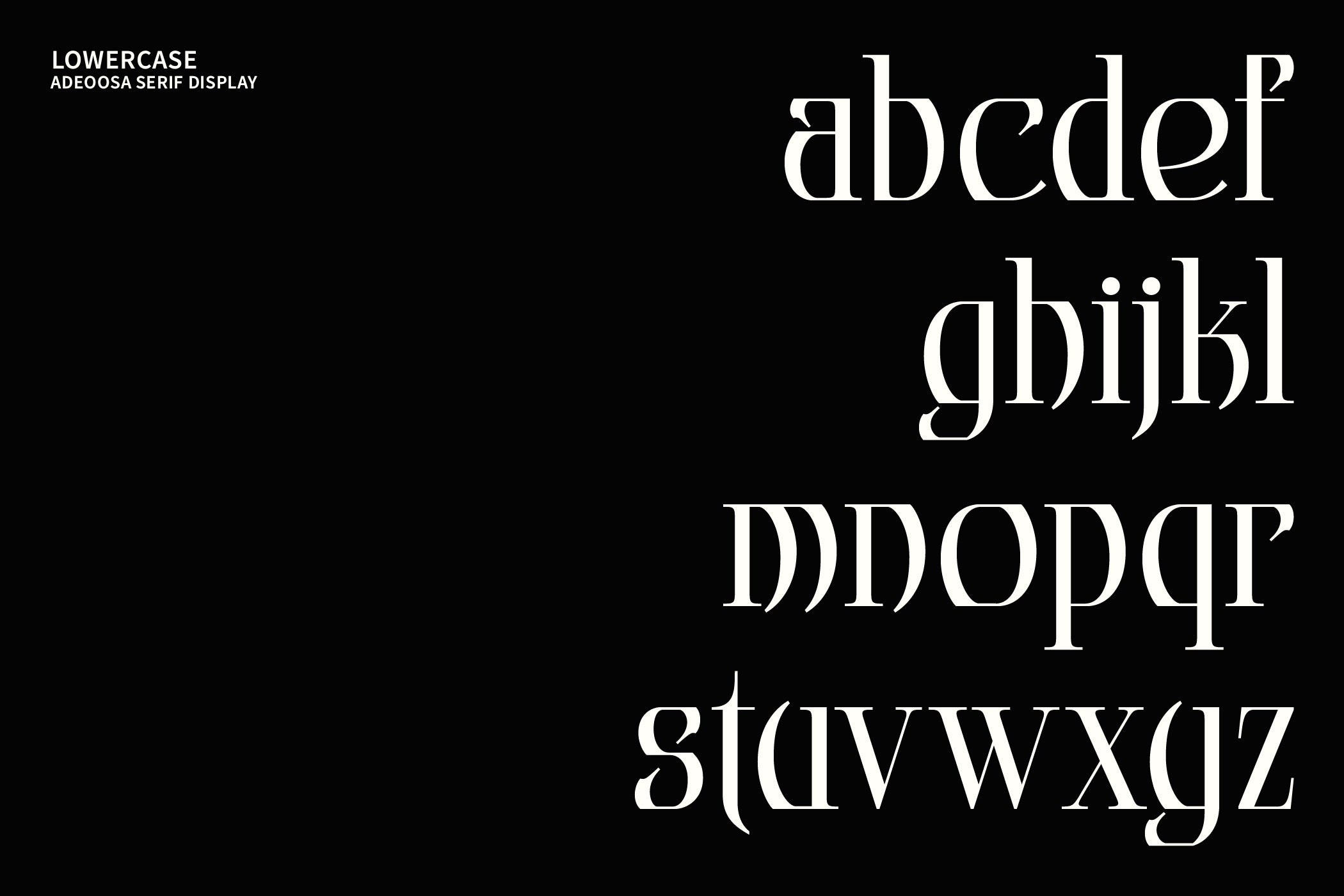 adeoosa-editorial-gothic-serif-display-font-mooneseye-type-4.jpg