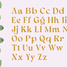 aekiy-kagon-elegant-luxury-bold-serif-classic-font-enxyclo-studio-13.png