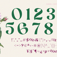 aekiy-kagon-elegant-luxury-bold-serif-classic-font-enxyclo-studio-14.png