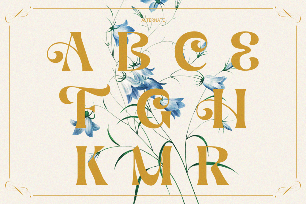 aekiy-kagon-elegant-luxury-bold-serif-classic-font-enxyclo-studio-17.png