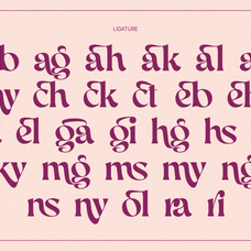 aekiy-kagon-elegant-luxury-bold-serif-classic-font-enxyclo-studio-19.png