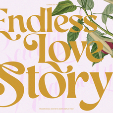 aekiy-kagon-elegant-luxury-bold-serif-classic-font-enxyclo-studio-2.png