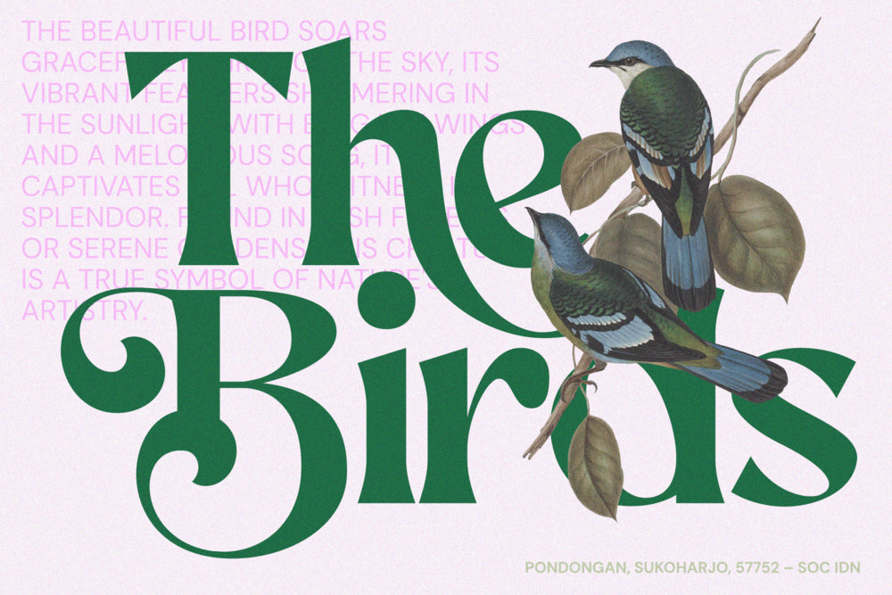 aekiy-kagon-elegant-luxury-bold-serif-classic-font-enxyclo-studio-4.png