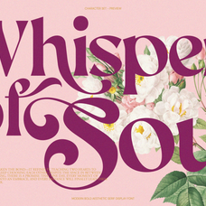 aekiy-kagon-elegant-luxury-bold-serif-classic-font-enxyclo-studio-7.png